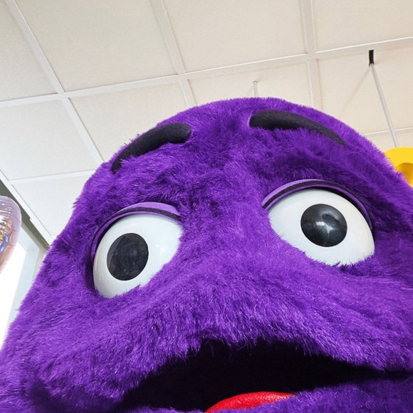 Meet your Posher, Brandon - Picture 1 of 1